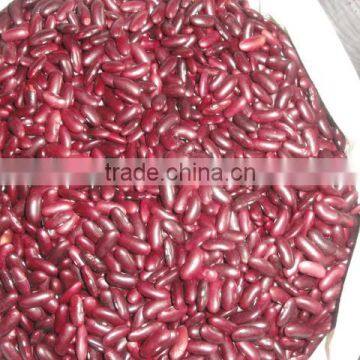 Dark Red Kidney Beans