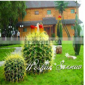 Artificial plants cactus ball