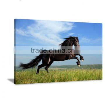 Horse Giclee Printing Canvas Painting Picture Livingroom Decor DWYS65