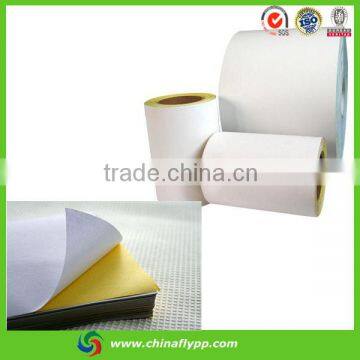 Matt PP Synthetic Paper for Label , Label Jumboo Roll photo-4