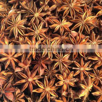 New Crop 2015 Star Aniseed