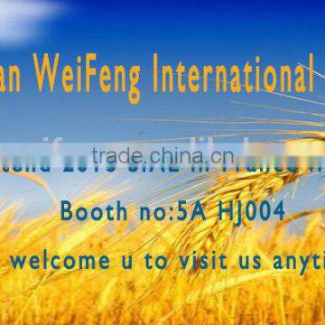 Exporting 363 Sunflower Seeds With Good Price photo-3