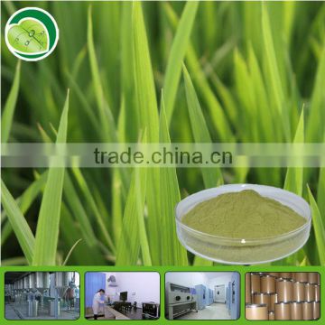 Free sample green barley grass powder