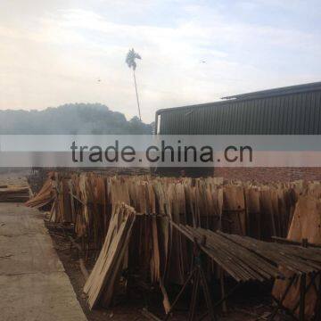 Core Veneer Hot 2015