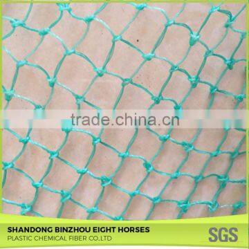 Chinese Credible Supplier Net Anti Bird Netting photo-4