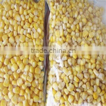 IQF sweet corn