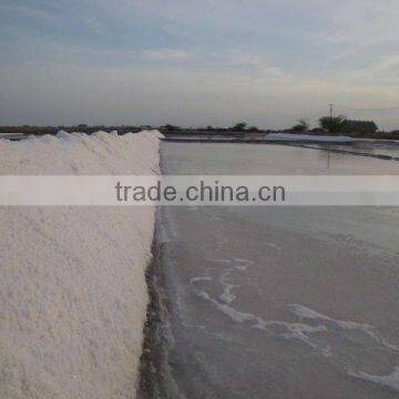 Crystal Salt Iodized photo-3