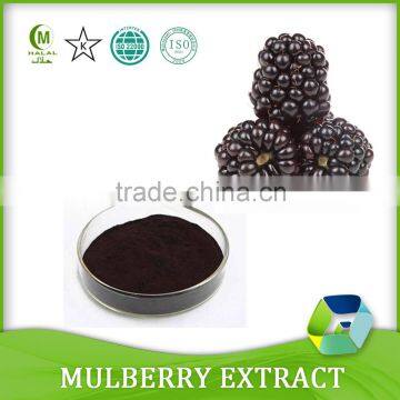 High quality Mulberry extract/Mulberry extract powder/ Morus alba L. powder