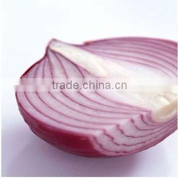 Fresh Onion from China