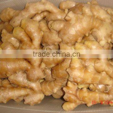 clean surface china ginger