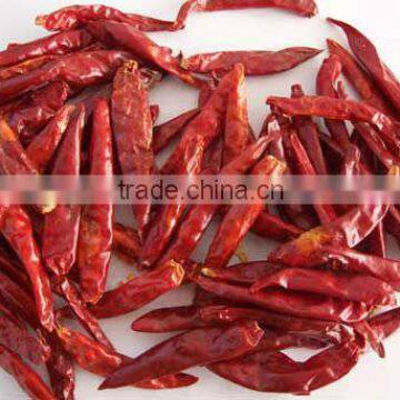 BEST QUALITY RED CHILI EXPORTER photo-4