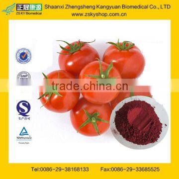 Lycopene Antioxidant Tomato Extract from GMP Certified Manufacturer