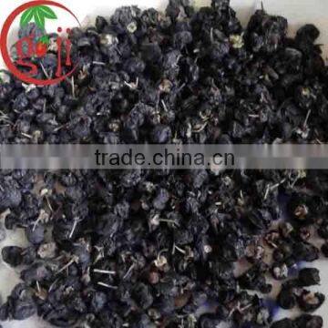 Top Grade Black goji berry/wolfberry