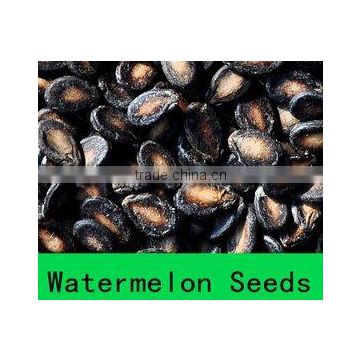 Black small watermelon seeds