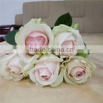 Most Selling Rose Flowers Cheap Cut Flowers Price Directly Import From Website photo-4