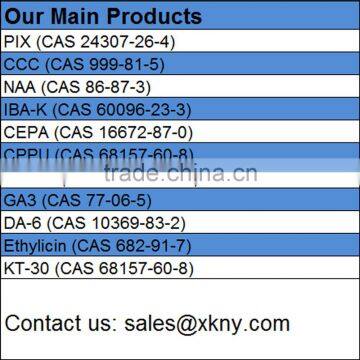 CAS 24307-26-4 Mepiquat Chloride 98% TC Plant Growth Regulator photo-6