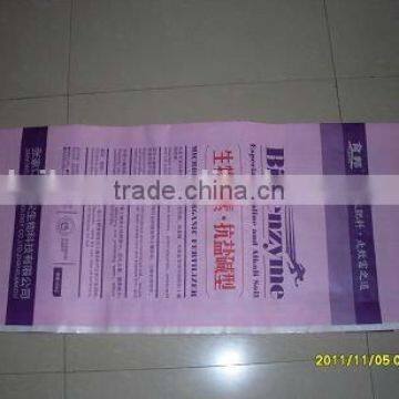 China Supplier Recycled Colorful Printing pp Woven Bag photo-3