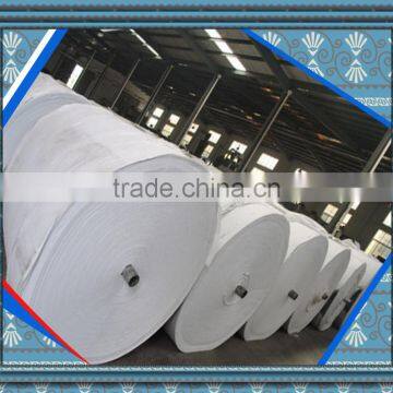 Good Quality Continuous Filament Polyester Nonwoven Geotextile 400gsm