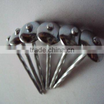 roofing nails with umbrella(factory price)