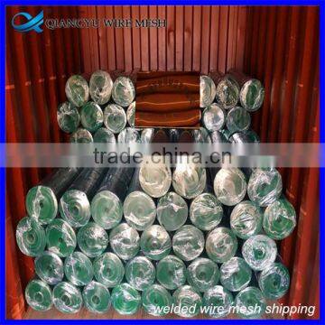 Welded Wire Mesh Manufacturer/ Cheap Welded Wire Mesh/ Welded Wire Mesh Roll photo-6