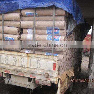 Welded Mesh(Good Quality 1/2x1/2 Welded Mesh) 1x2 Welded Wire Mesh