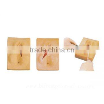 Female Organ Suture Training Vulva Model photo-3