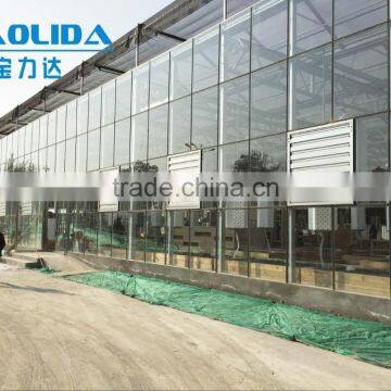 Multi-span Glass Tunnel Greenhouse photo-3