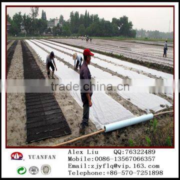 China Agricultural PP Non-woven Fabric