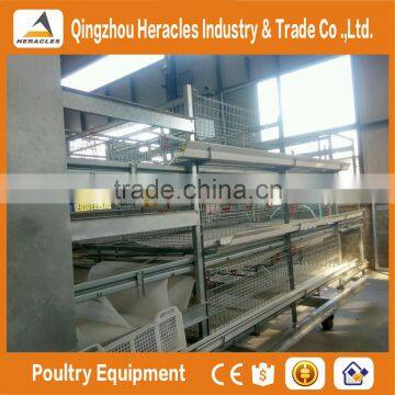 Shandong Trade Assurance Poultry Farming Equipment Automatic Chicken Layer Cage for Sale in Philippines photo-3