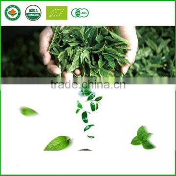 Gift Packing Chinese Mini Puer Tuo Cha Tea From Yunnan Province photo-4