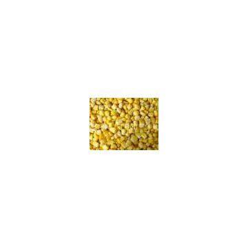 IQF Sweet Corn Kernels