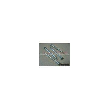 spiral nail/galvanized nail/coil nail