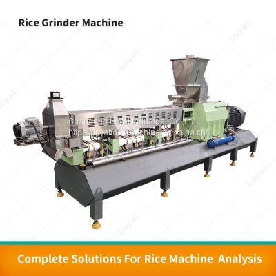 Twin Screw Puffed Fortified Rice Processing Production Line Artificial Rice Extruder Machine