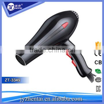 Zhentai High Quality AC & 12V DC Motor Hair Dryer,Hair Blow Dryer for Sale Europe