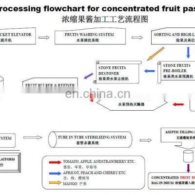 GENYOND Industrial Washing Machine Fruit Processing Line Vegetable Processing Food Washing Equipment photo-4