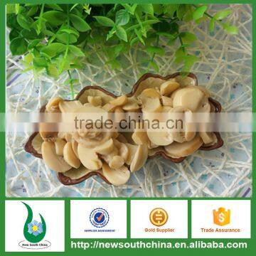 Low price good quality canned food mushroom for mexican market