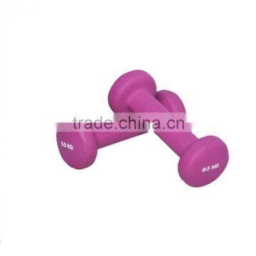 Colourful Womens Vinyl Barbells