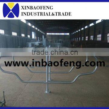 xinbaofeng cattle free stall livestock equipment