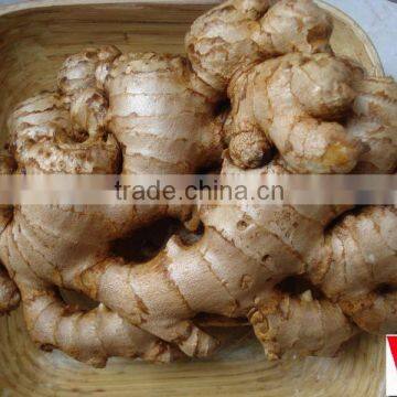 Fresh Ginger Grade 1