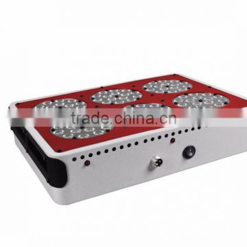 Good selling red and blue full spectrum diamond led grow light led full spectrum light 600w Full Spectrum for Green house