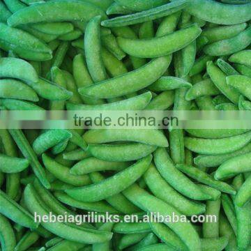 Frozen style suger snap pea 2015 new crop