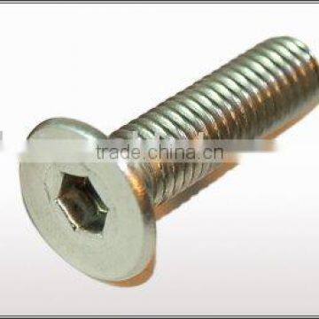 Hex Socket Flat Screw