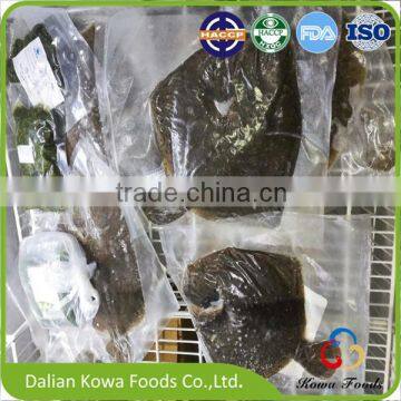 China origin aquacultured turbot fish for sale