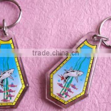 33*58mm Keychain