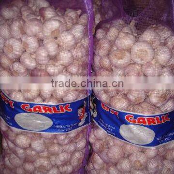 raschel garlic mesh bag