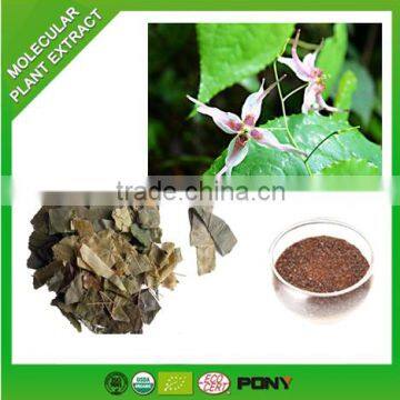 Herbal Supplement China Premium Epimedium Extract