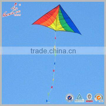 2014 New Style Chinese Factory Big Delta Shape Kite