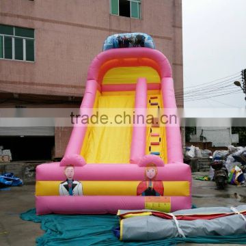 Amusement frozen inflatable jump slide