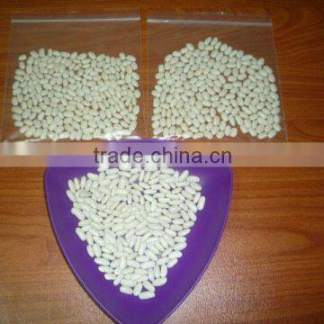 White Kidney Beans