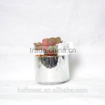 Indoor derocation Artificial succulent plant with ceramic pot